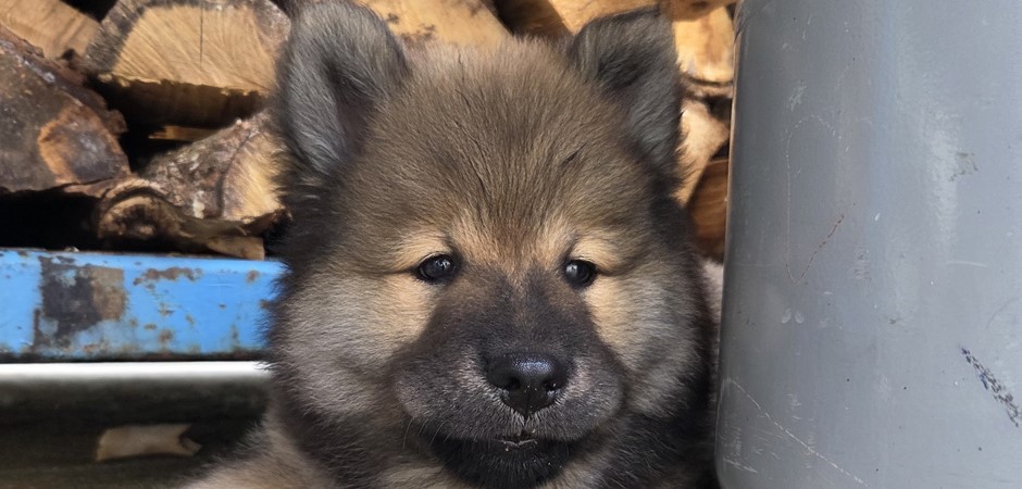 Aston 29-08-2025 (5).jpg